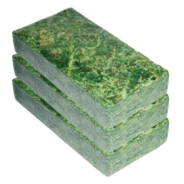 Sphagnum- & Waldmoos